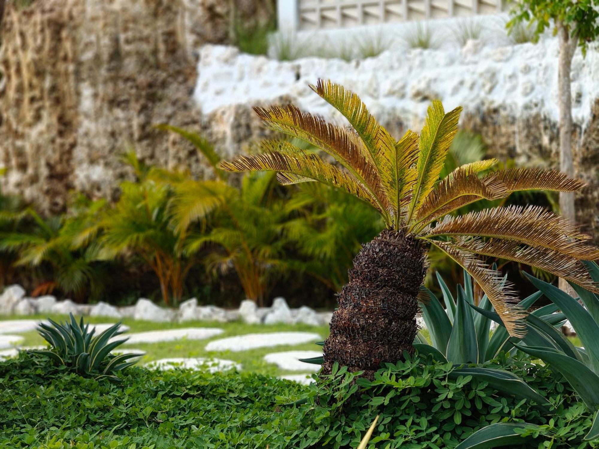Alam Cottage Uluwatu Zewnętrze zdjęcie